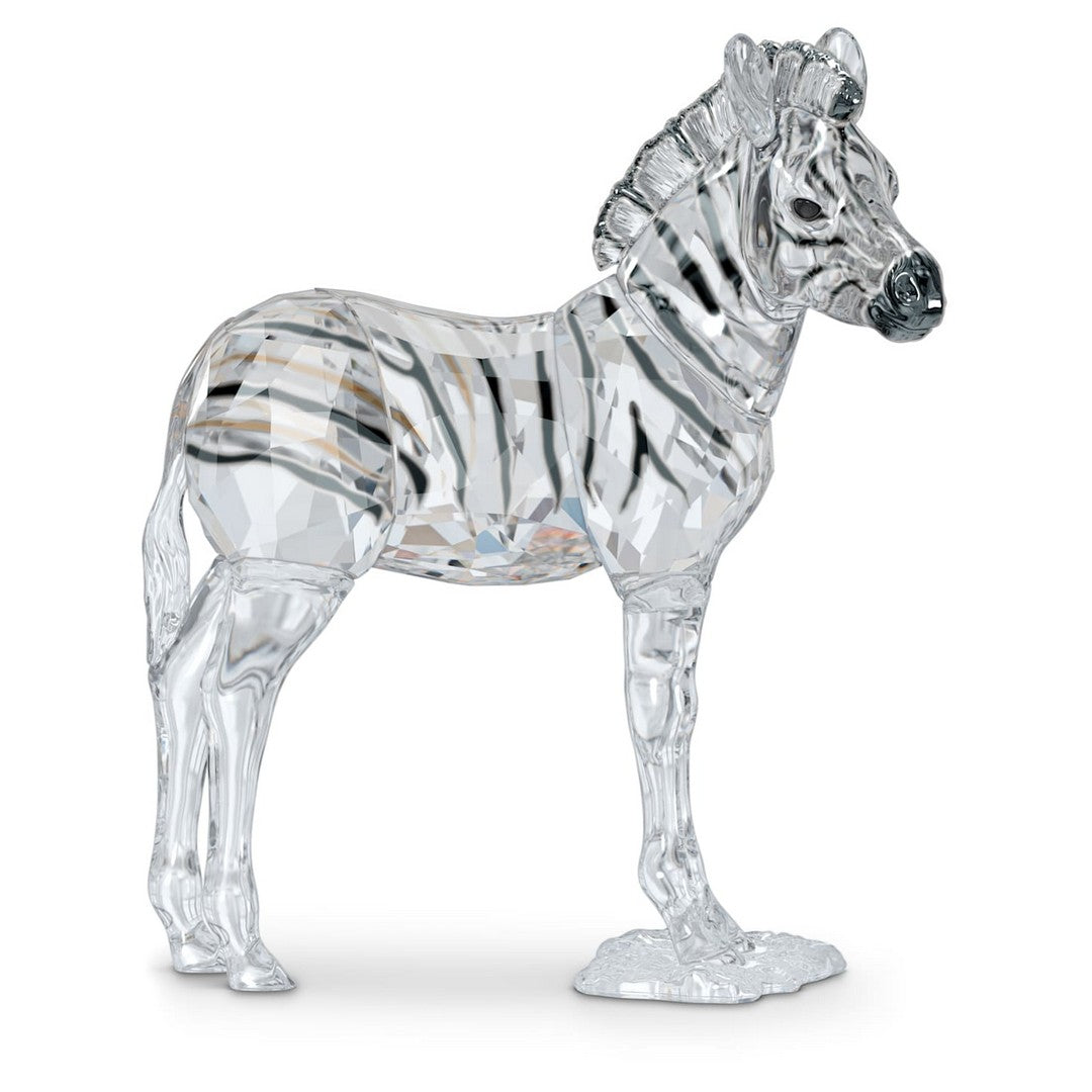 Swarovski Figura Decorativa Elegance of Africa SCS Baby Zebra Zuri - 5557906 - Gioielleria De Patto
