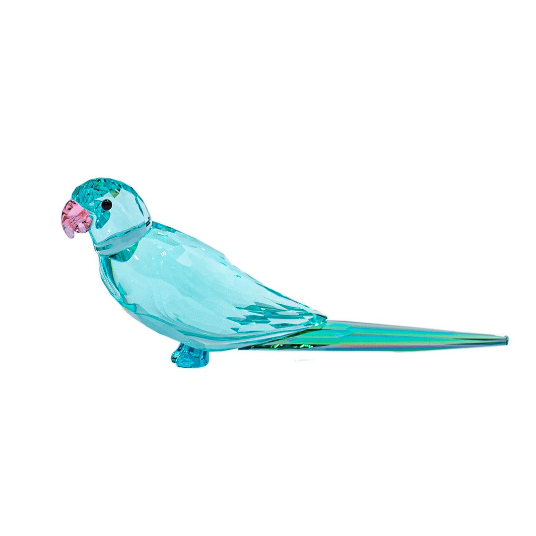 Swarovski Figura Decorativa Pappagallino Paco Blu - 5574519 - Gioielleria De Patto