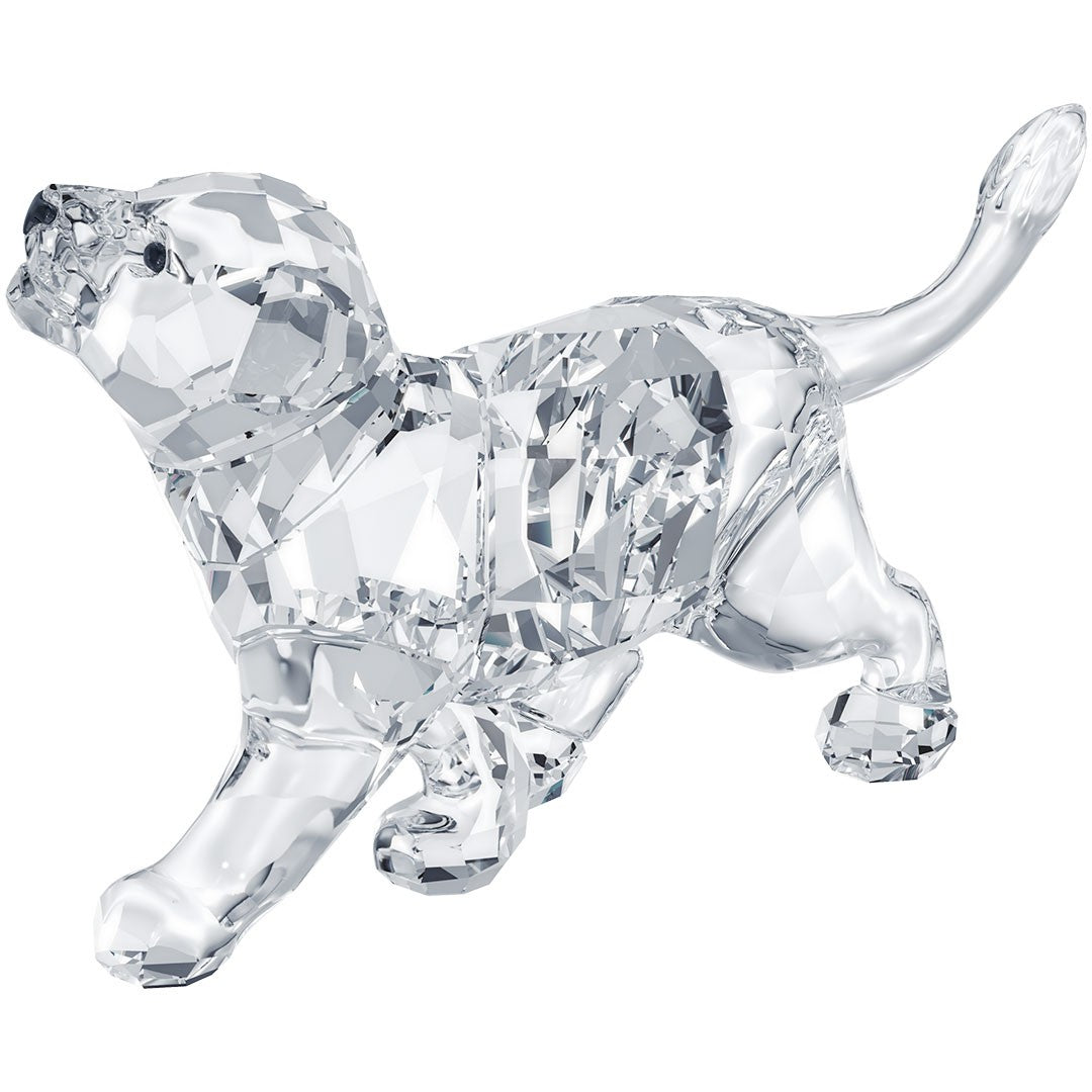 Swarovski Figura Decorativa Leoncino - 1194148 - Gioielleria De Patto