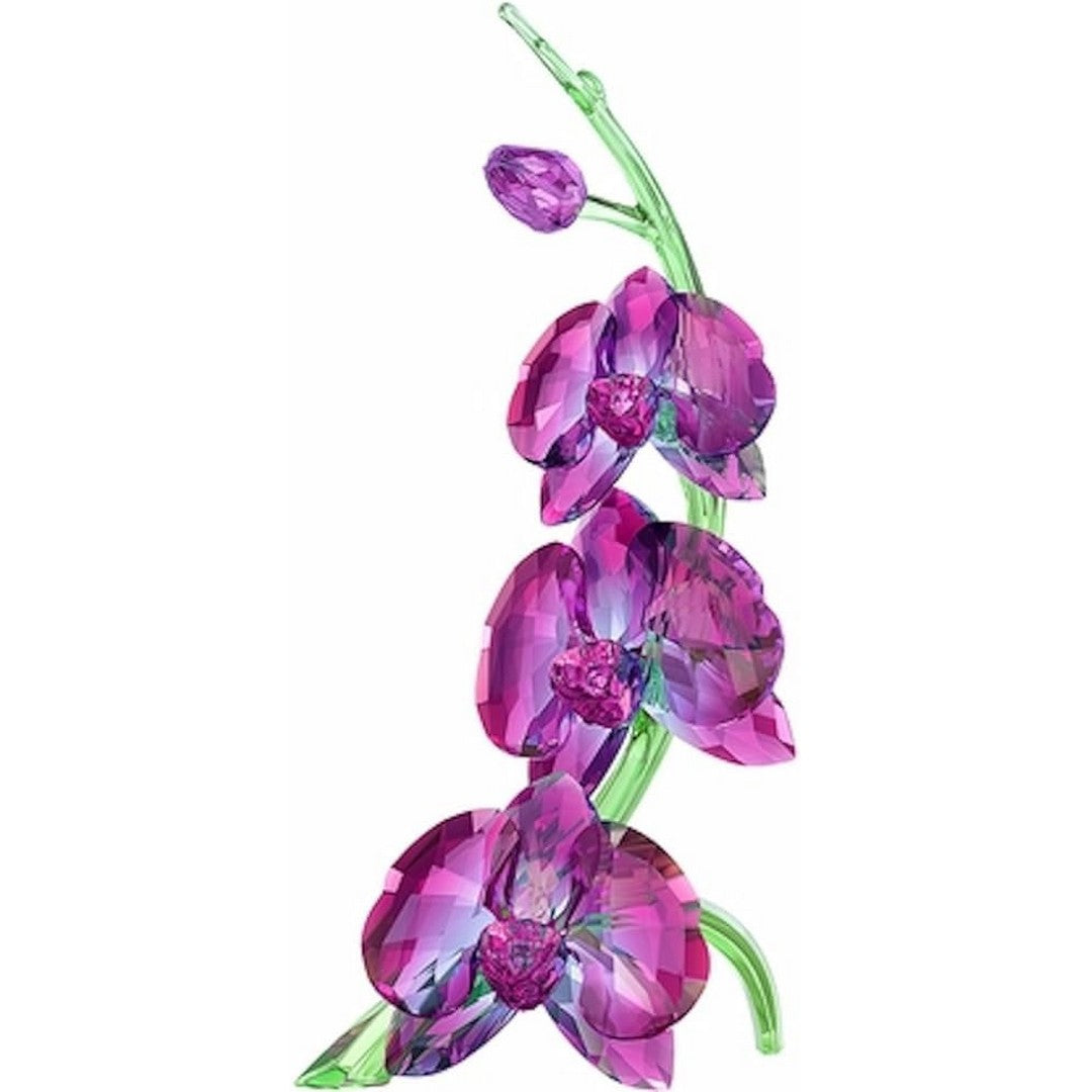 Swarovski Figura Decorativa Orchidee - 5243561 - Gioielleria De Patto