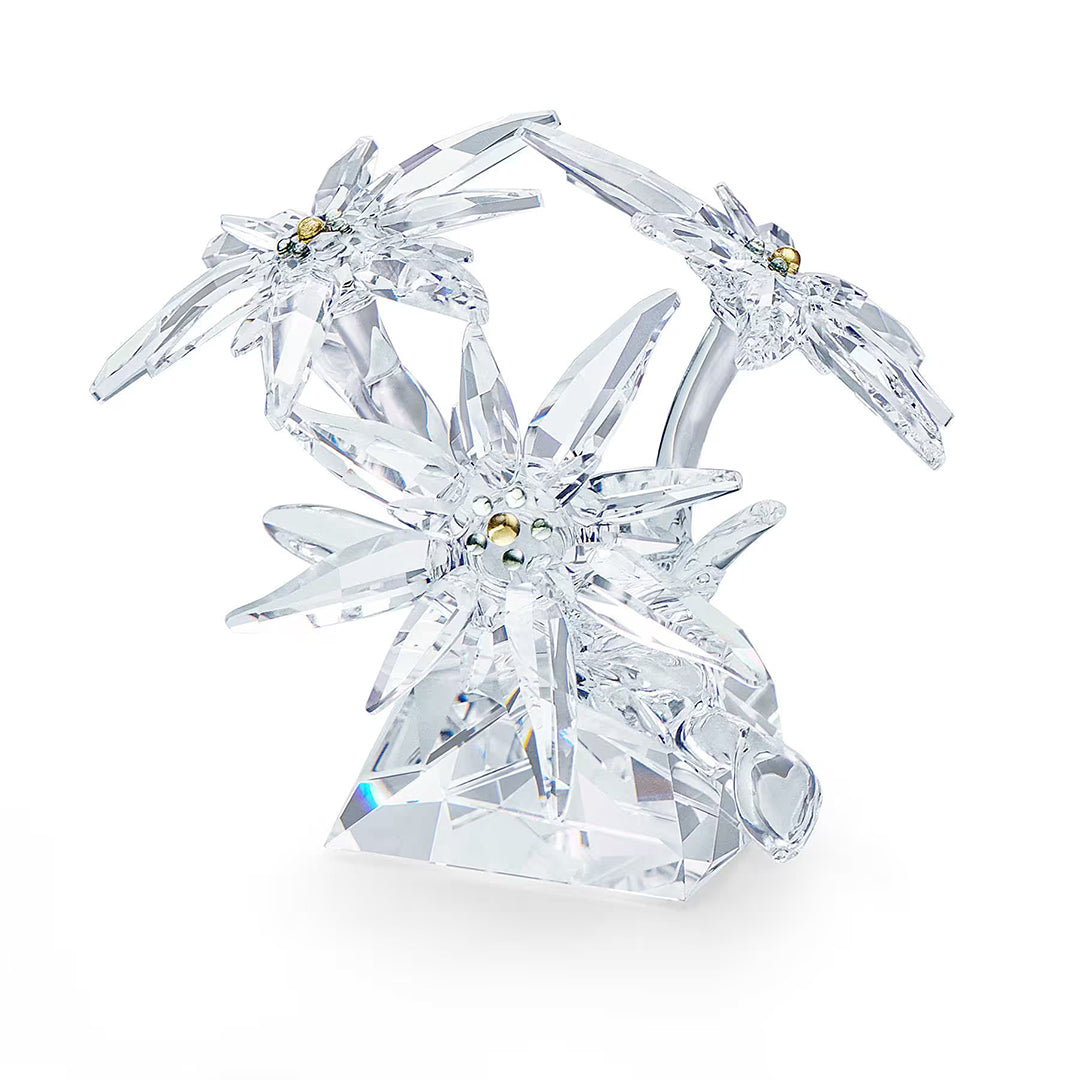 Swarovski Figura Decorativa Stella Alpina - 5493708 - Gioielleria De Patto