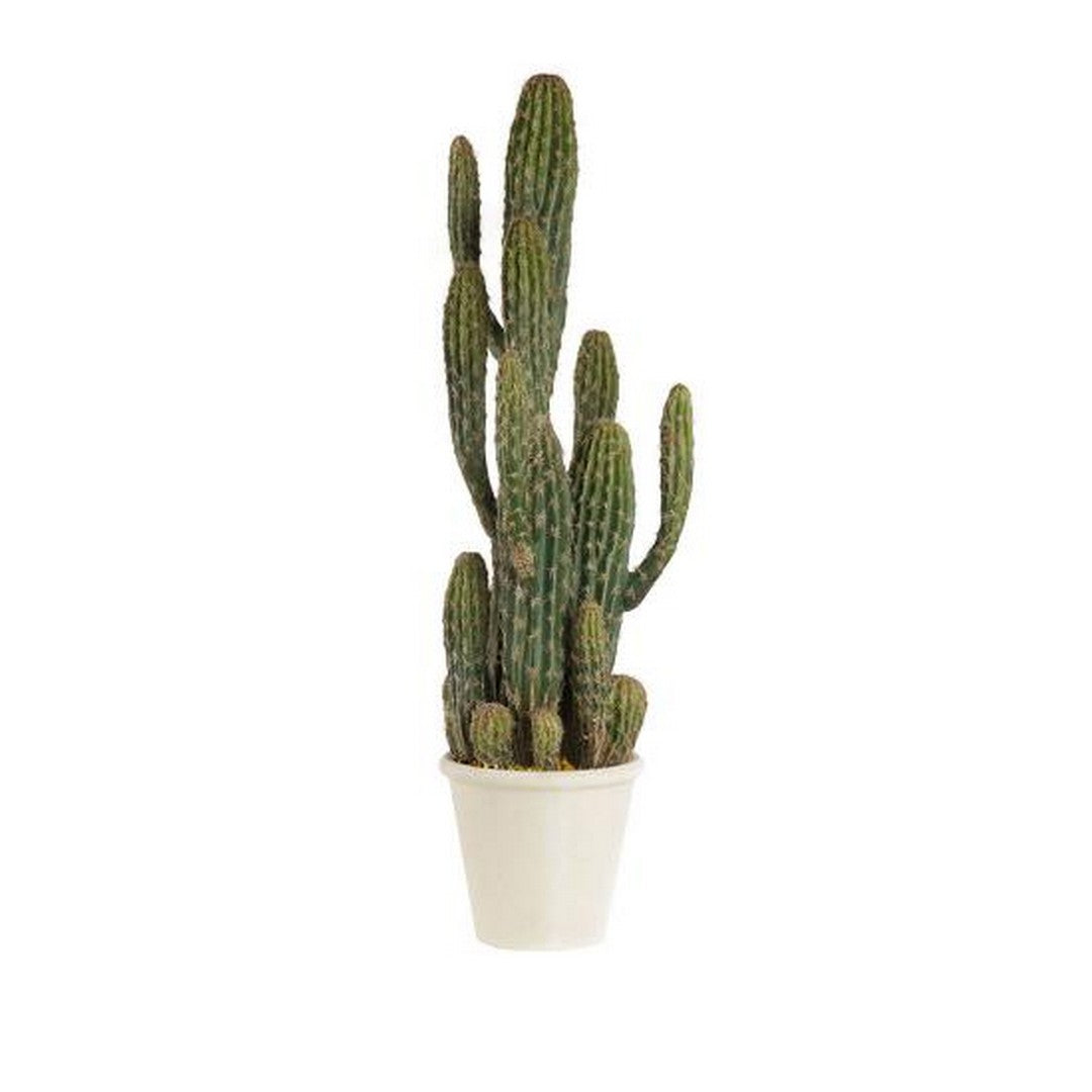 L'Oca Nera Cactus - 1N17 - Gioielleria De Patto