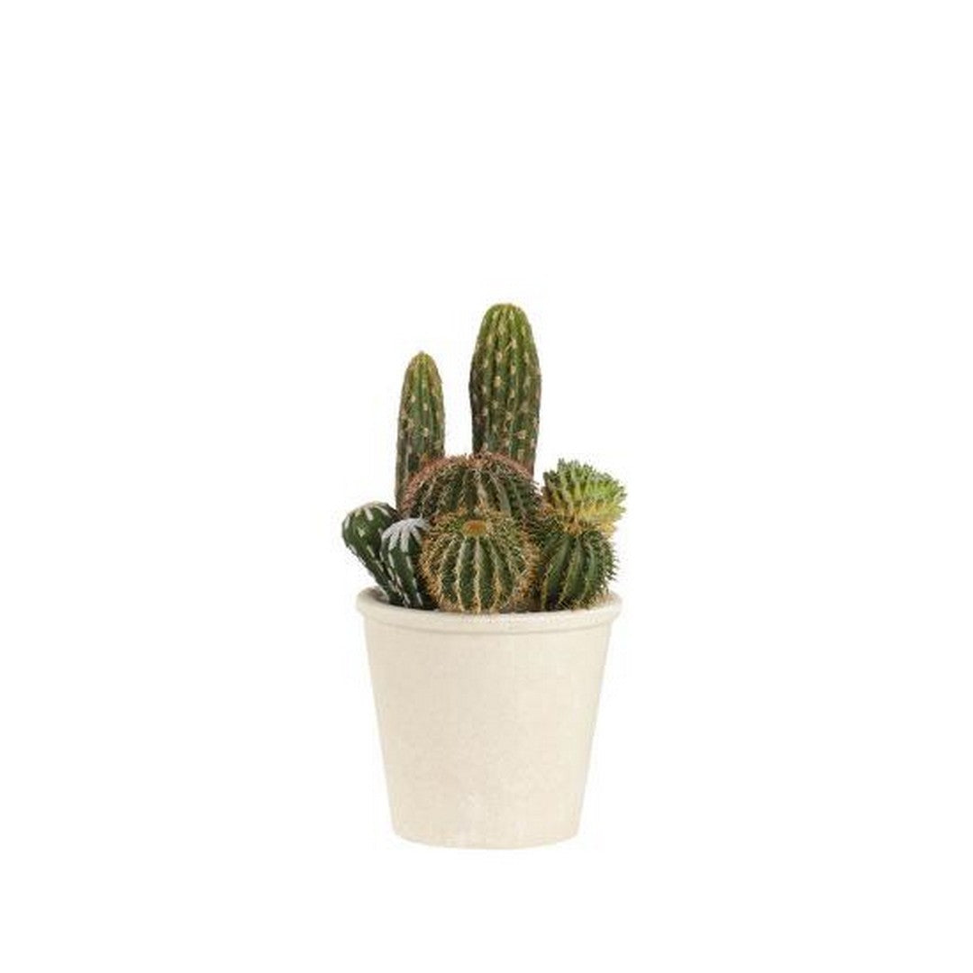 L'Oca Nera Cactus - 1N13 - Gioielleria De Patto