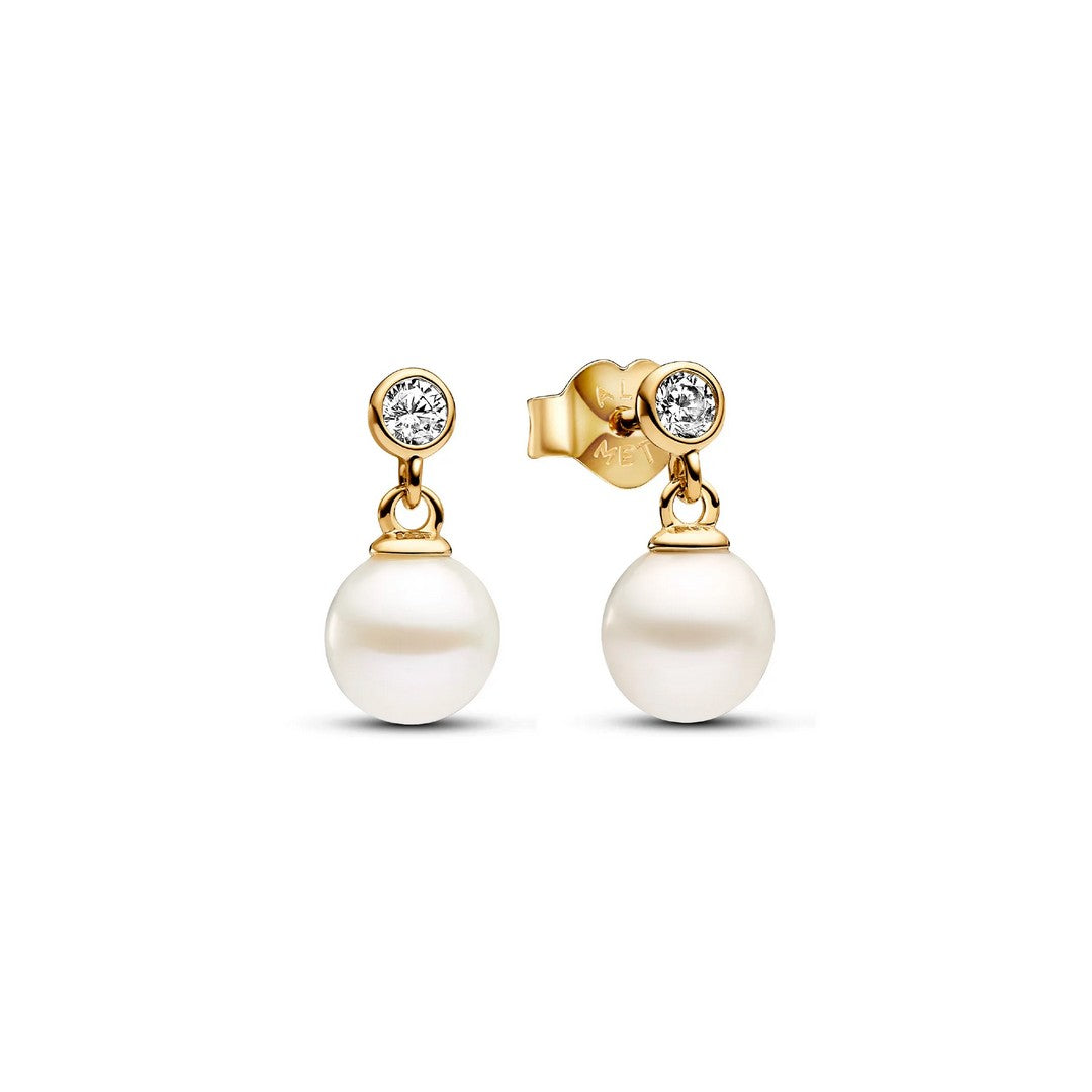Pandora Orecchini Donna Pendenti Timeless - 263153C01 - Gioielleria De Patto