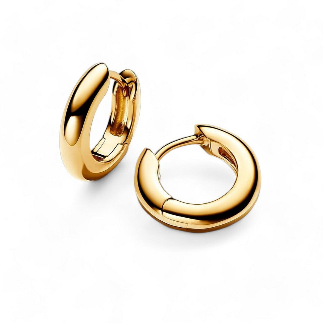 Orecchini Donna Pandora Cerchi - 263320C00 - Gioielleria De Patto