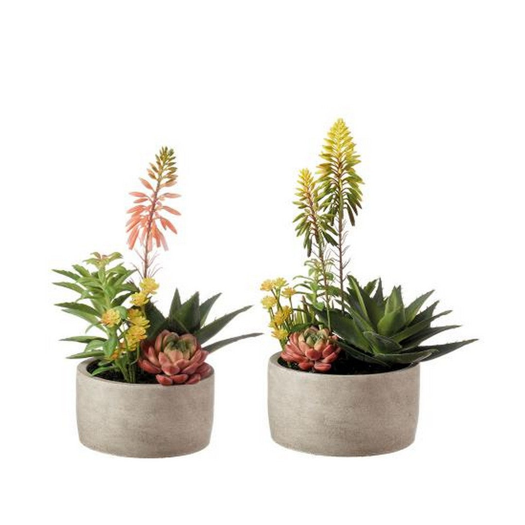 L'Oca Nera Composizione piante grasse - set 2 pz - 1N29