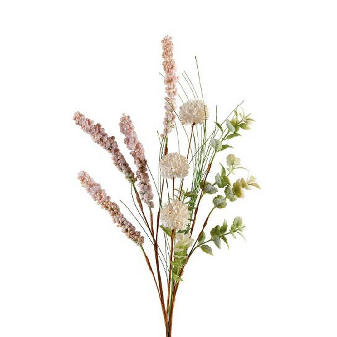 L'Oca Nera Astilbe - 1P214