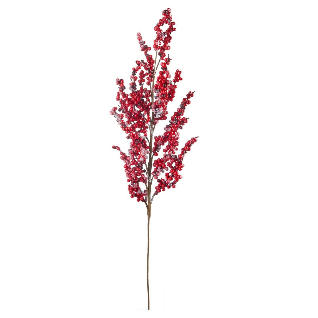 L'Oca Nera Ramo con bacche rosse piccole Fiori delle feste - 1XM978.11