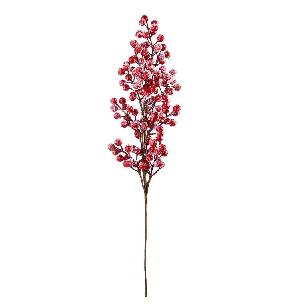 L'Oca Nera Ramo con bacche rosse grandi Fiori delle feste - 1XM978.13