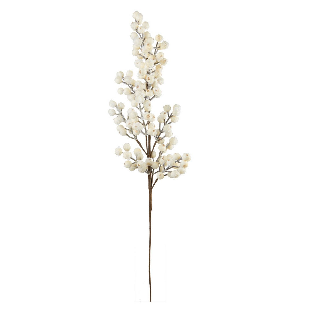 L'Oca Nera amo con bacche bianche grandi Fiori delle feste - 1XM978.12