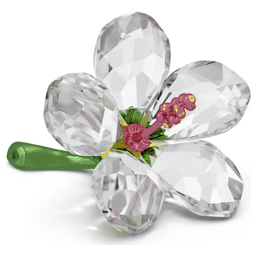 Swarovski Florere Ibisco - 5690534