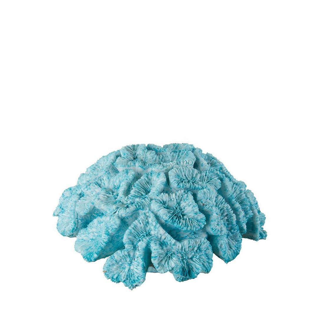 L'Oca Nera Corallo turchese - 1L125