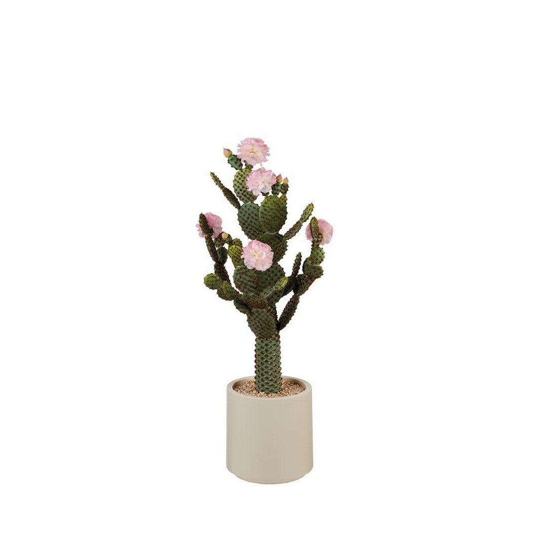 L'Oca Nera Cactus fiori rosa - 1N108