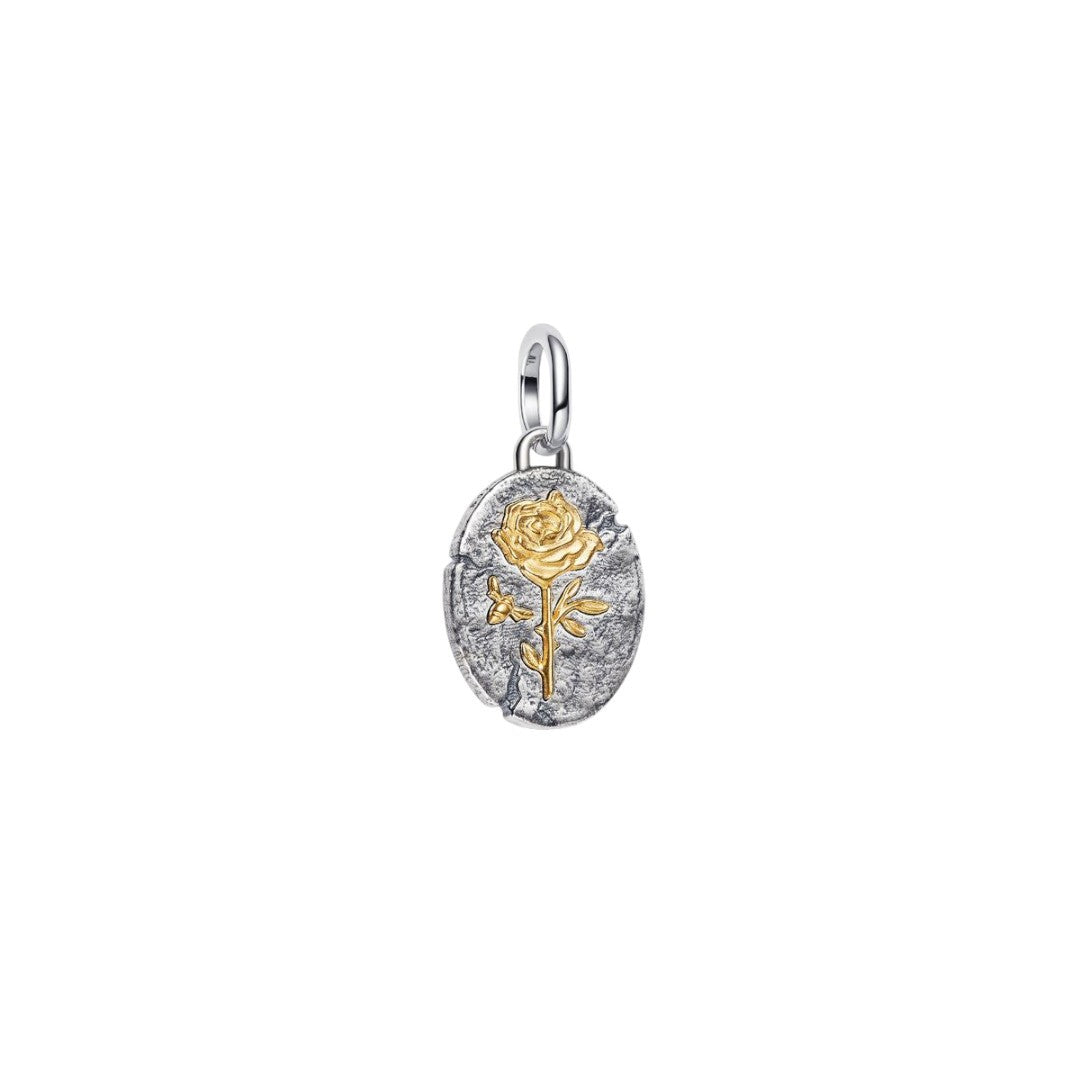 Charm Donna Pandora Medallion Rosa "Rosa Inter Spinas Crescit" - 764087C00
