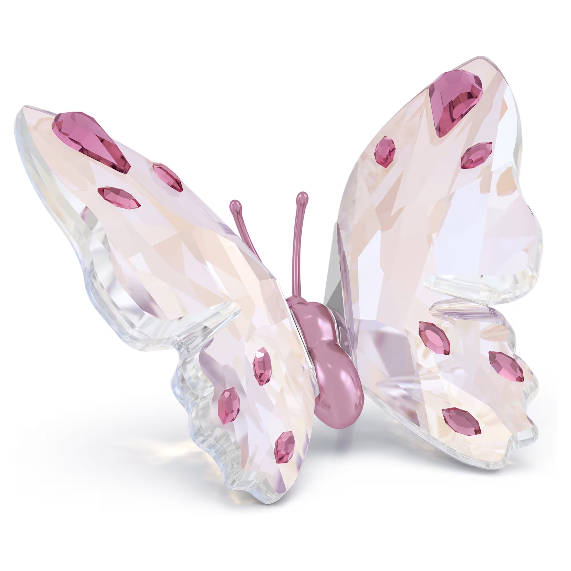 Swarovski Idyllia Farfalla - 5691959