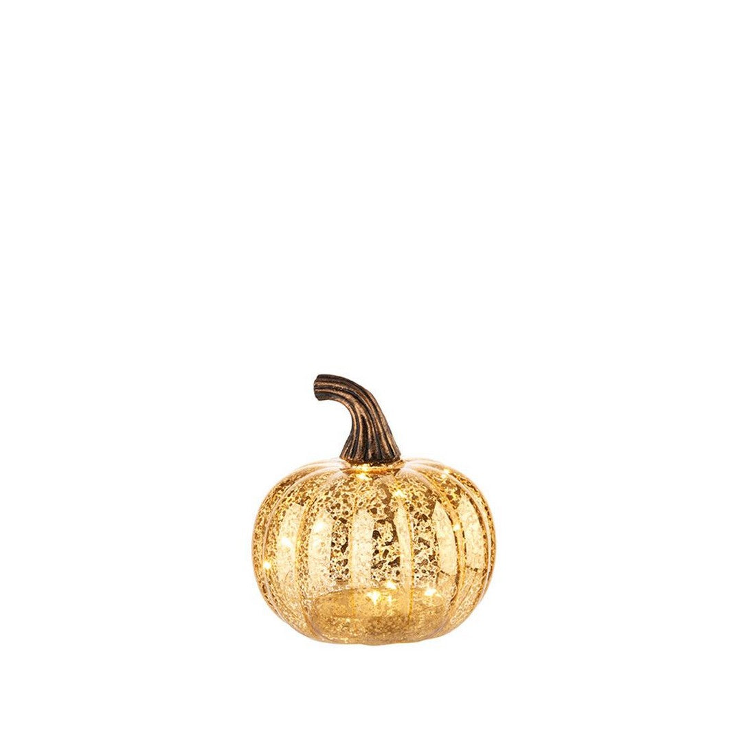 L'oca nera Zucca piccola - 8.1XM1078.10