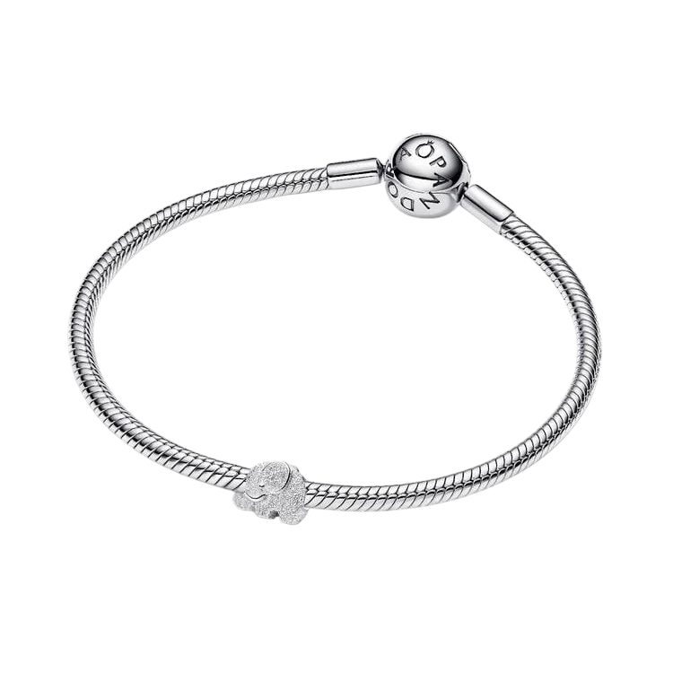 Charm Donna Pandora - 794528C00