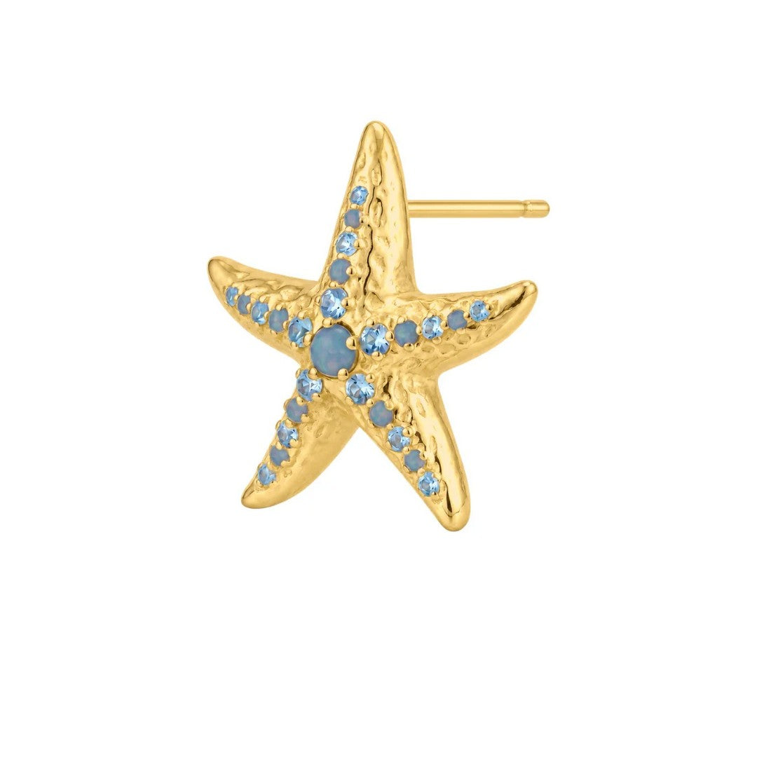 Amabile Orecchino Donna Starfish - 1-OR-FIS-C-04-P