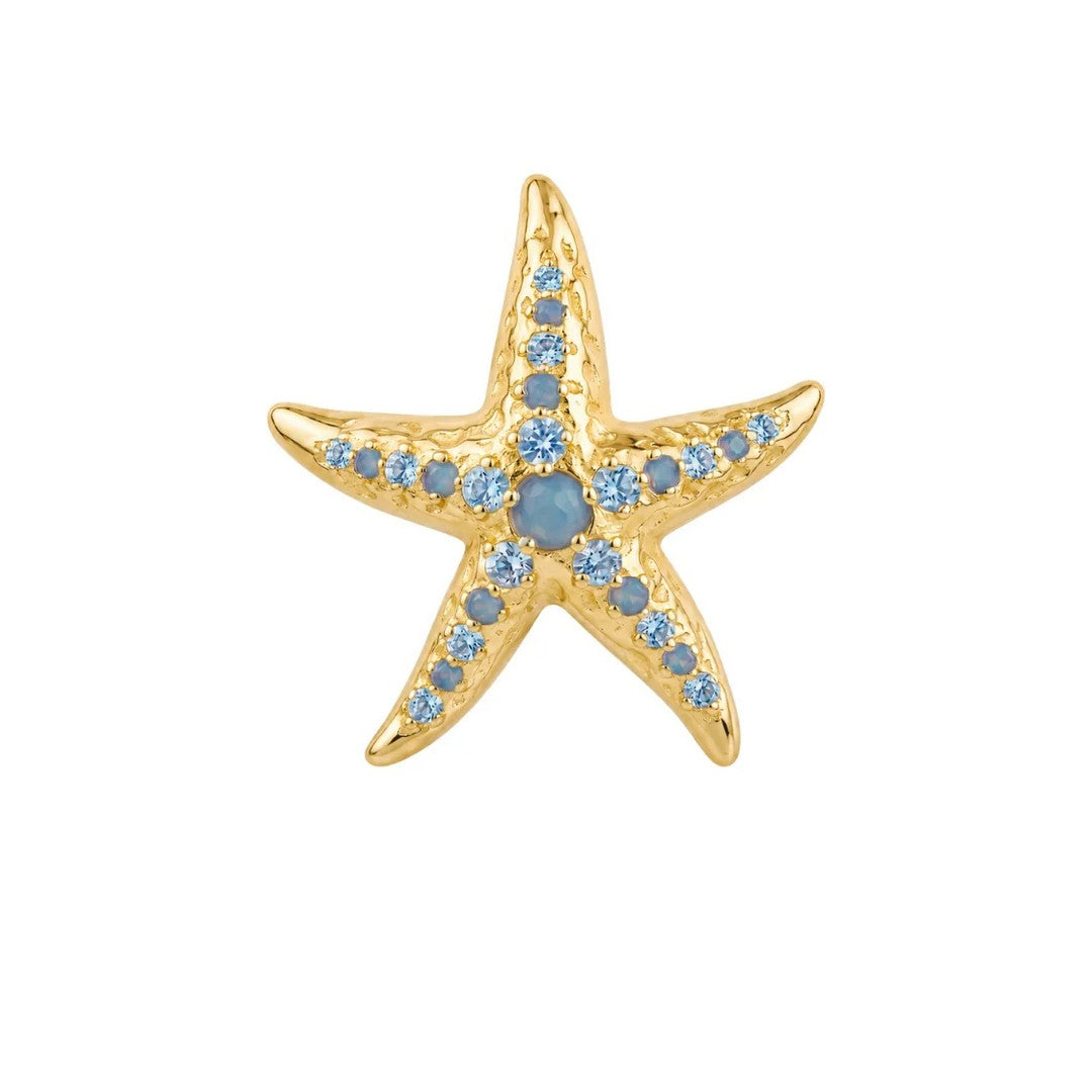 Amabile Orecchino Donna Starfish - 1-OR-FIS-C-04-P
