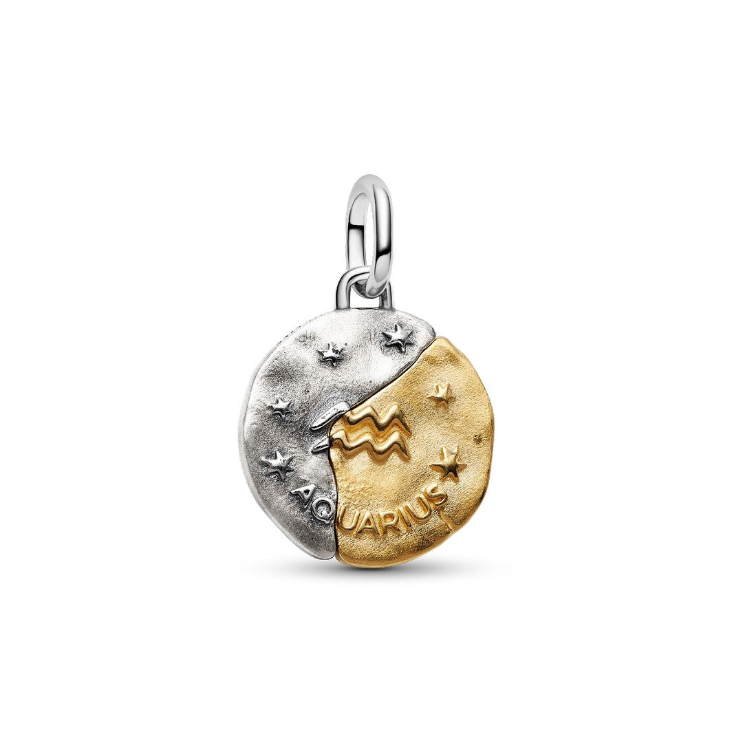 Pandora Charms Charm Medallion Acquario - 764990C01