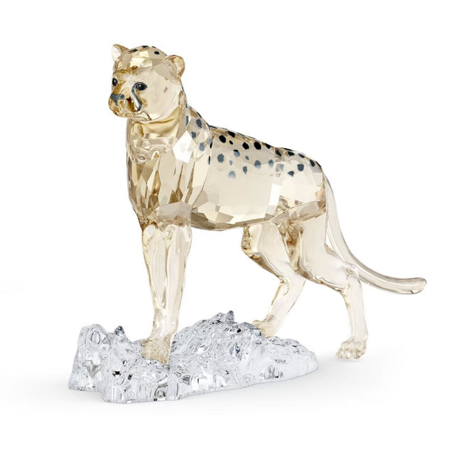 Swarovski Figura Decorativa Elegance of Africa Ghepardo - 5636484 - Gioielleria De Patto