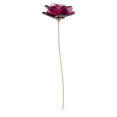 Swarovski Garden Tales Rosa - 5557800 - Gioielleria De Patto