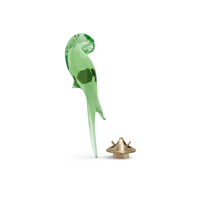 Swarovski Jungle Beats Magnete Pappagallo Verde Piccolo - 5557813 - Gioielleria De Patto