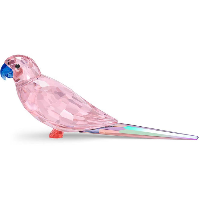 Swarovski Figura Decorativa Pappagallo - 5557848 - Gioielleria De Patto