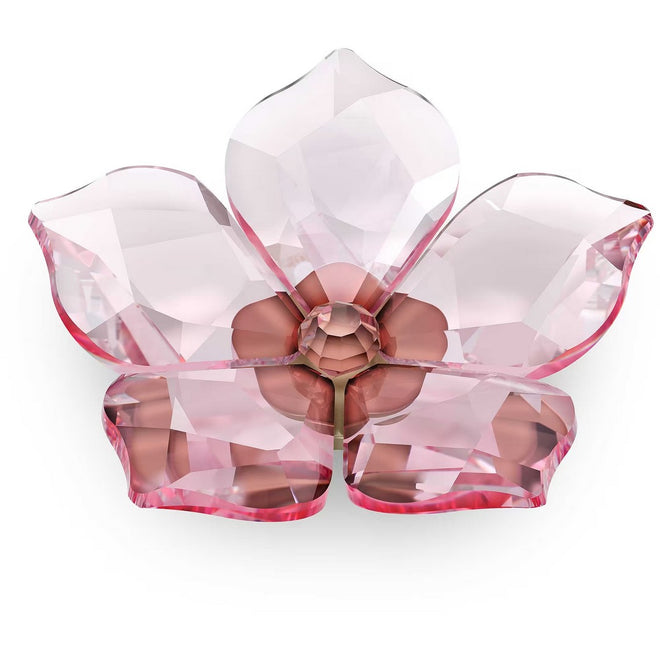 Swarovski Figura Decorativa Garden Tales Magnete Fiore di Ciliegio - 5580026 - Gioielleria De Patto