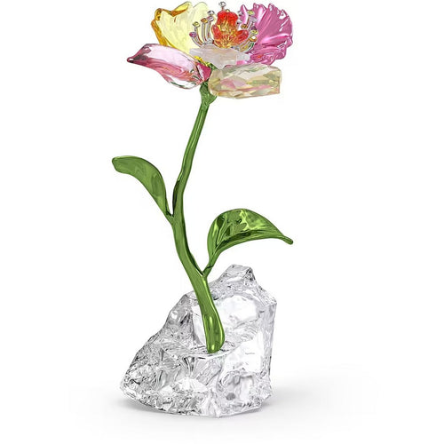 Swarovski Idyllia Fiore Piccolo - 5639883 - Gioielleria De Patto