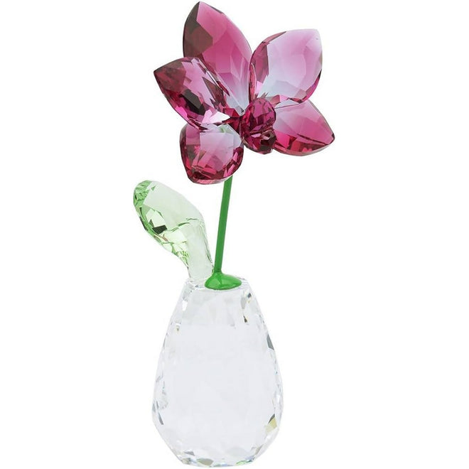 Swarovski Figura Decorativa Orchidea - 5254318 - Gioielleria De Patto