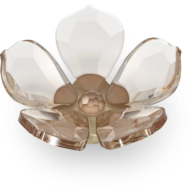 Swarovski Garden Tales Magnete Magnolia decorazione - 5580029 - Gioielleria De Patto