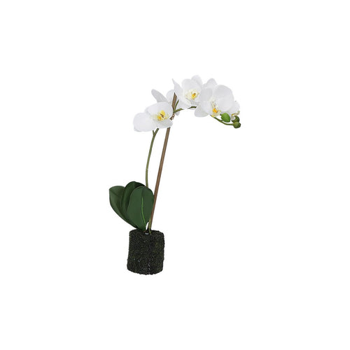 Thun Orchidee bianche S - H3604p00 - Gioielleria De Patto