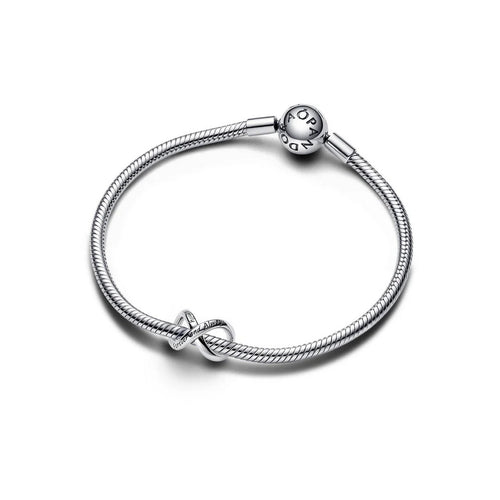 Charm Donna Pandora Sempre e Per Sempre - 793243C00