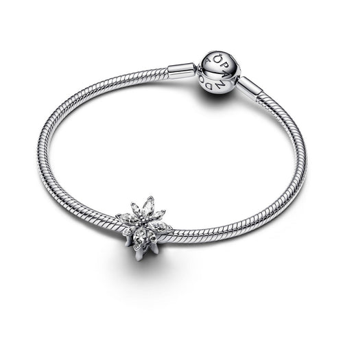 Charm Donna Pandora Stella Polare Luminosa - 793591C01 - Gioielleria De Patto