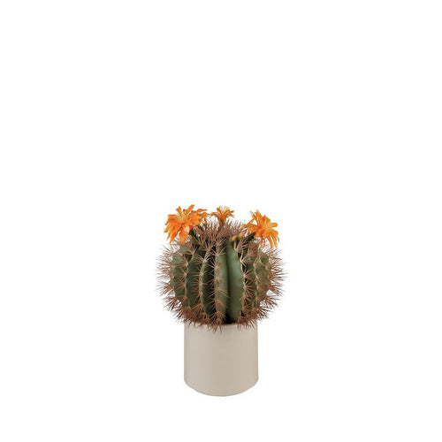 L'Oca Nera Cactus fiori arancioni - 1N106