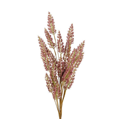 L'Oca Nera Erica  - 1P246