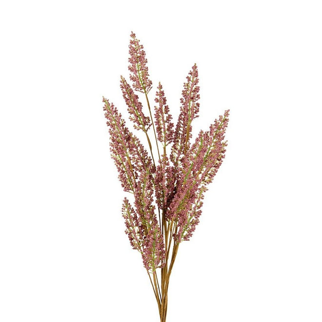 L'Oca Nera Erica  - 1P246