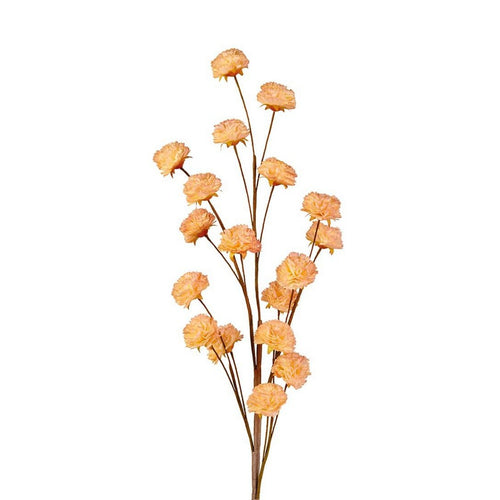 L'Oca Nera Ramo di garofano - 1P250