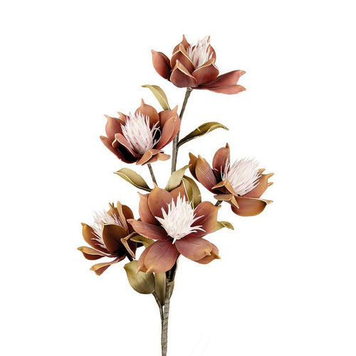 L'Oca Nera Magnolia Liliiflora - 1P258