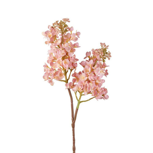 L'Oca Nera Lilla' rosa - 1P275