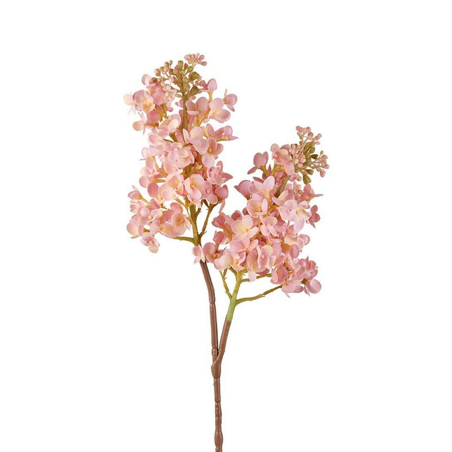 L'Oca Nera Lilla' rosa - 1P275