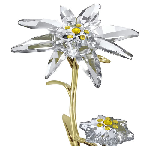 Swarovski Florere Campana di Vetro 130° Anniversario - 5701376