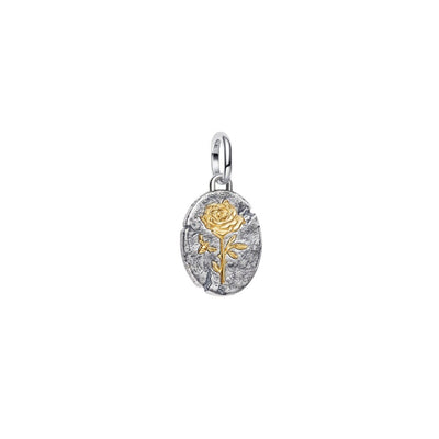 Charm Donna Pandora Medallion Rosa "Rosa Inter Spinas Crescit"  - 764087C00