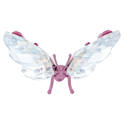 Swarovski Idyllia Farfalla - 5691959