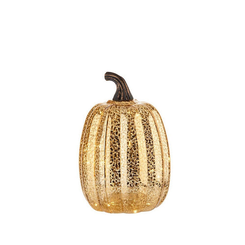 L'oca nera black Friday