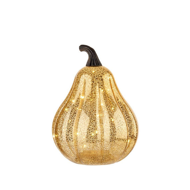 L'oca nera Zucca grande - 8.1XM1078.12