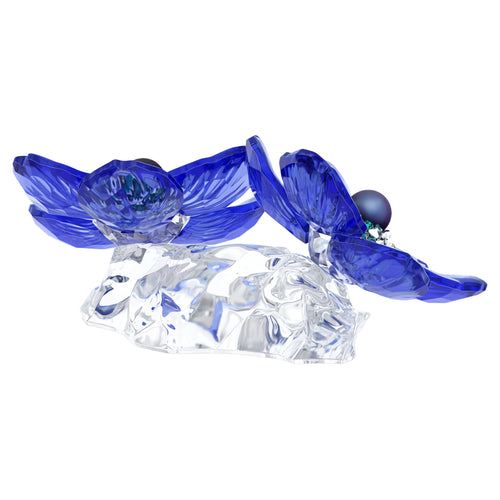 Swarovski Figura Decorativa Idyllia SCS Anemone Coronaria - 5717850