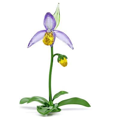 Swarovski Florere Orchidea Scarpetta di Venere - 5721548