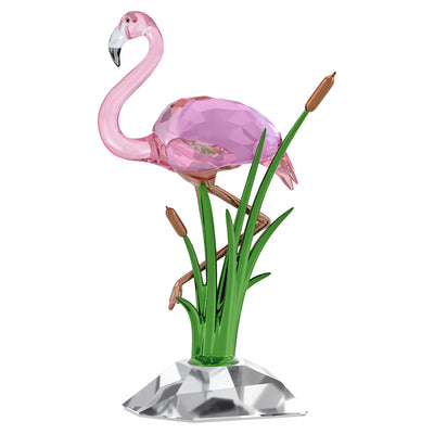 Swarovski Idyllia Fenicottero - 5721551